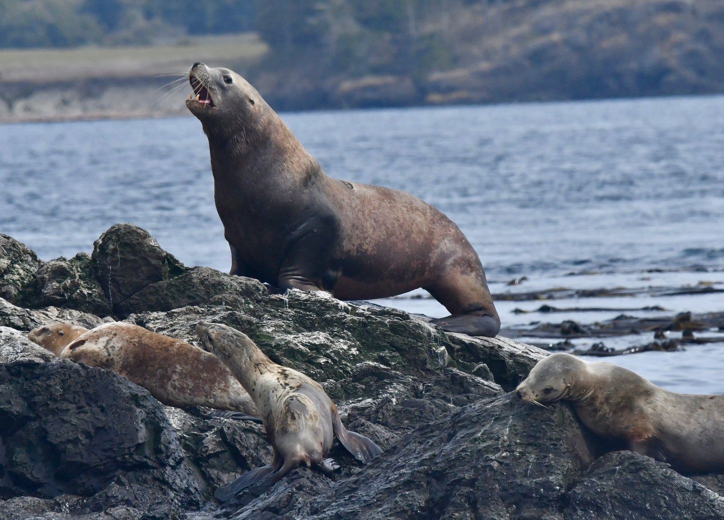 Why Spring Is One of the Best Times to Get On the Water